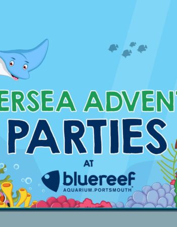 Blue Reef Aquarium Portsmouth