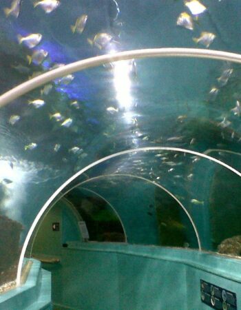 Blue Reef Aquarium Portsmouth