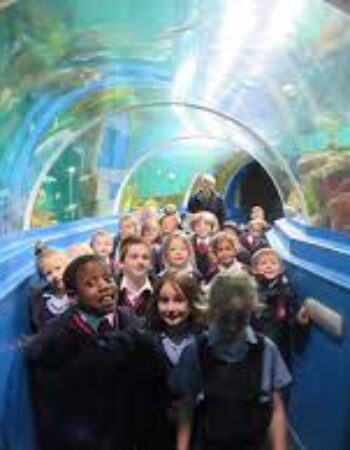 Blue Reef Aquarium Portsmouth