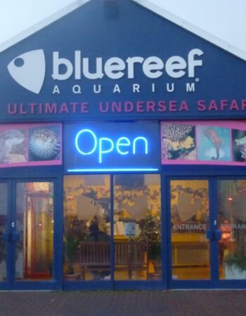 Blue Reef Aquarium Portsmouth