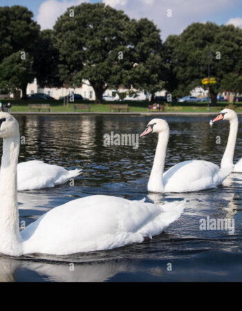 Canoe Lake