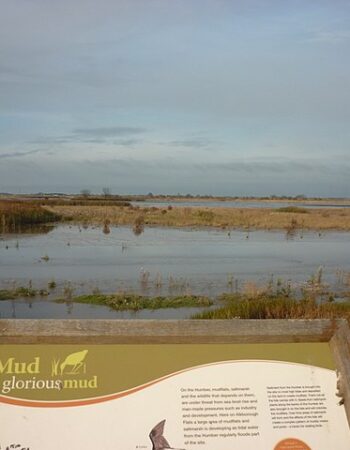 Milton Locks Nature Reserve