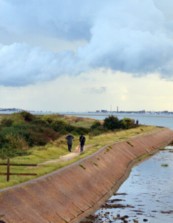 Milton Locks Nature Reserve