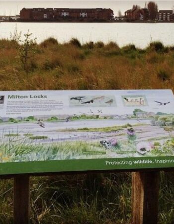 Milton Locks Nature Reserve